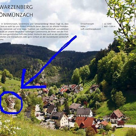 Adieu Alltag: Pension Oesterle Im Schwarzwald Schonmunzach ภายนอก รูปภาพ