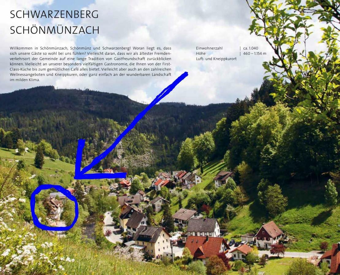 Adieu Alltag: Pension Oesterle Im Schwarzwald Schonmunzach ภายนอก รูปภาพ