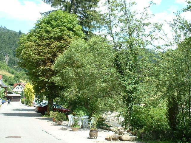 Adieu Alltag: Pension Oesterle Im Schwarzwald Schonmunzach ภายนอก รูปภาพ