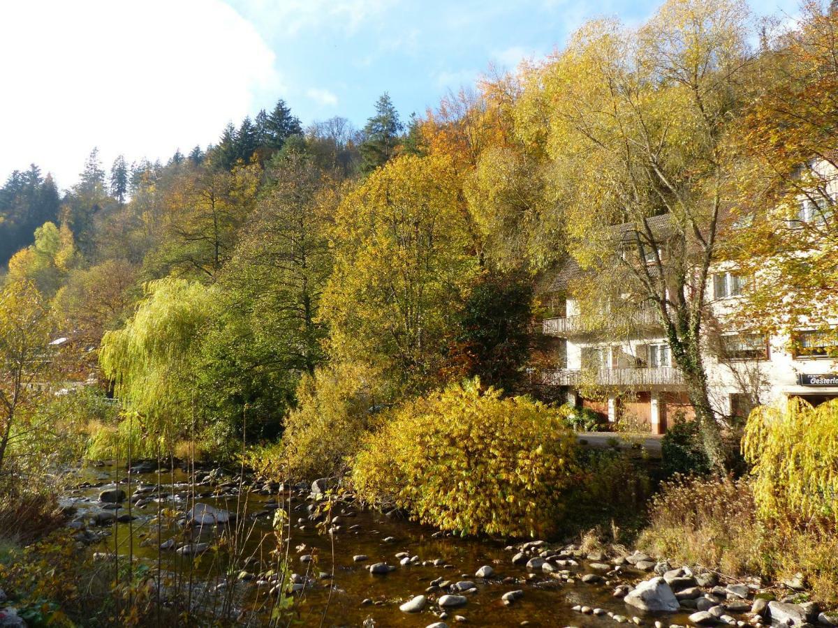 Adieu Alltag: Pension Oesterle Im Schwarzwald Schonmunzach ภายนอก รูปภาพ