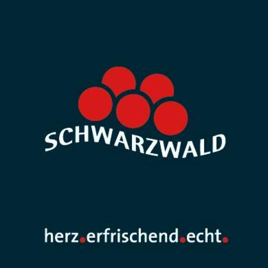 Adieu Alltag: Pension Oesterle Im Schwarzwald Schonmunzach ภายนอก รูปภาพ